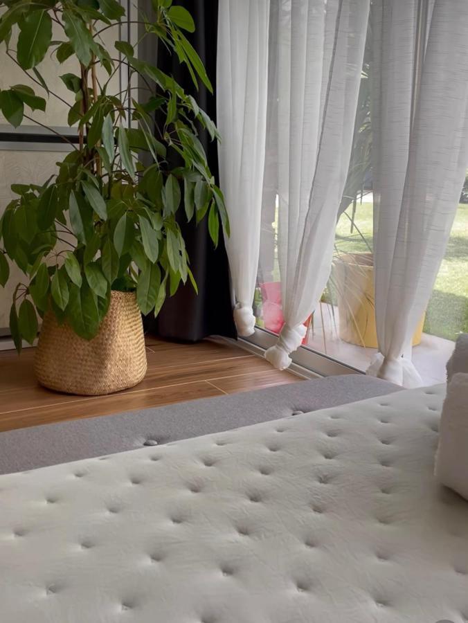 Julia'S Garden Apartment Cuarte de Huerva Luaran gambar